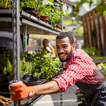 Where to Study Landscape Architecture in Kenya